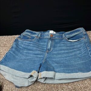 Lane Bryant Blue Jean Shorts Distressed Cutoff